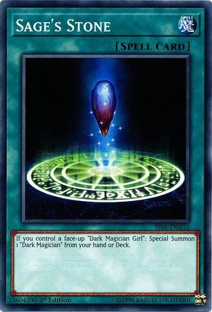 Yu-Gi-Oh! Sage's Stone Common 1st Edition X239
