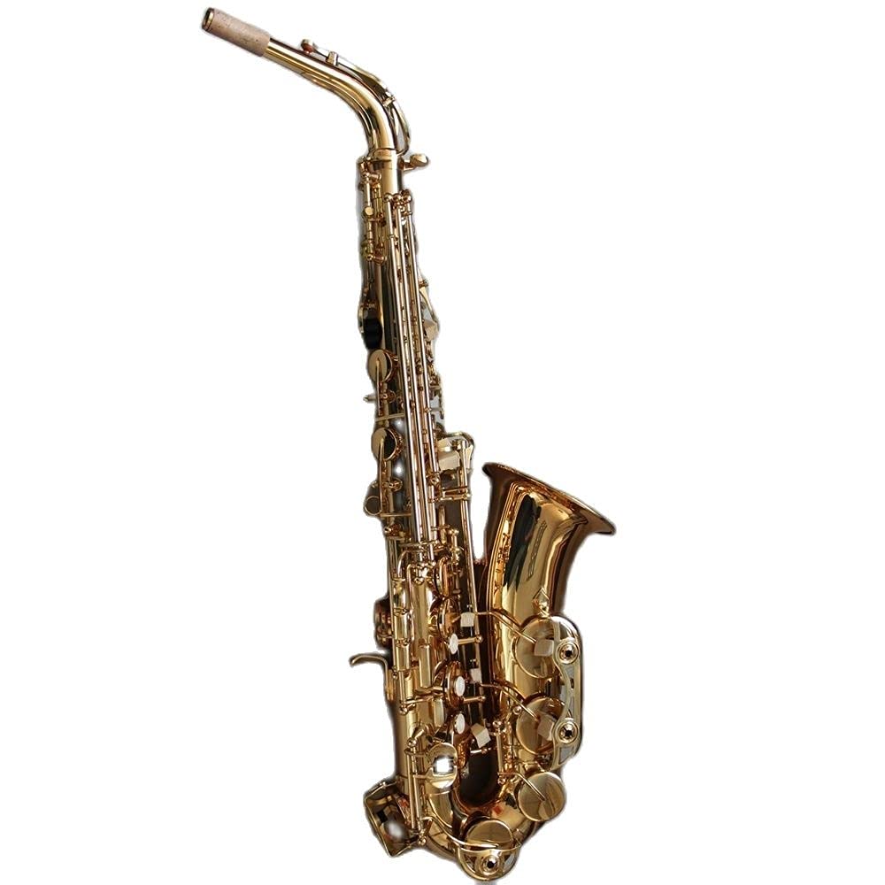 EB Alto Saxophone Set N74696