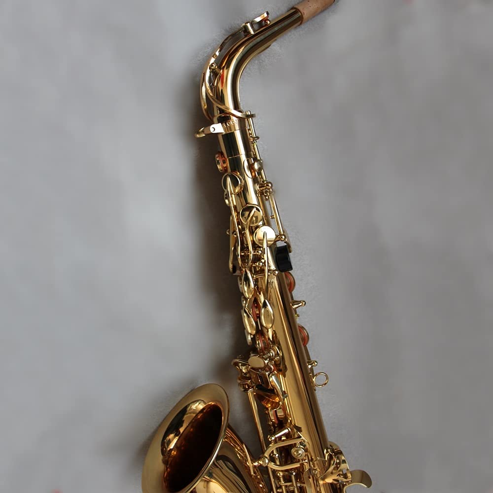 EB Alto Saxophone Set N74696