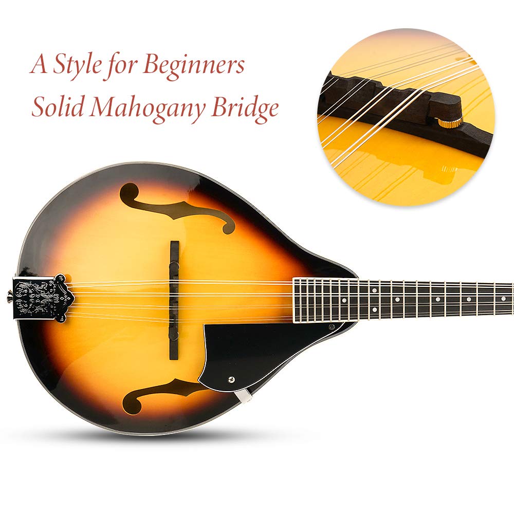 Sunburst 8 String Acoustic Mandolin E54359