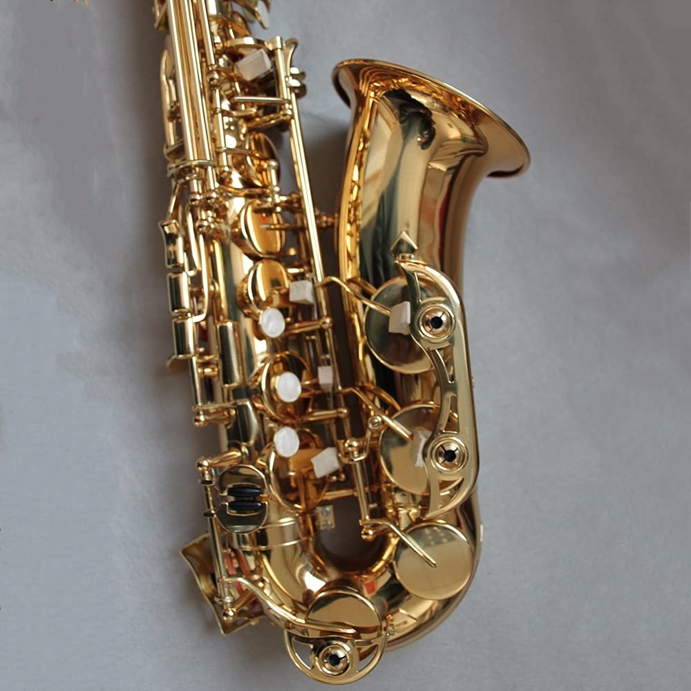 EB Alto Saxophone Set N74696