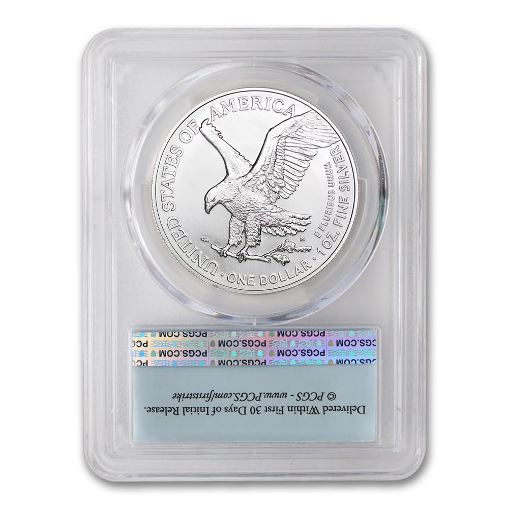 1 oz American Silver Eagle Coin MS-70 E6732