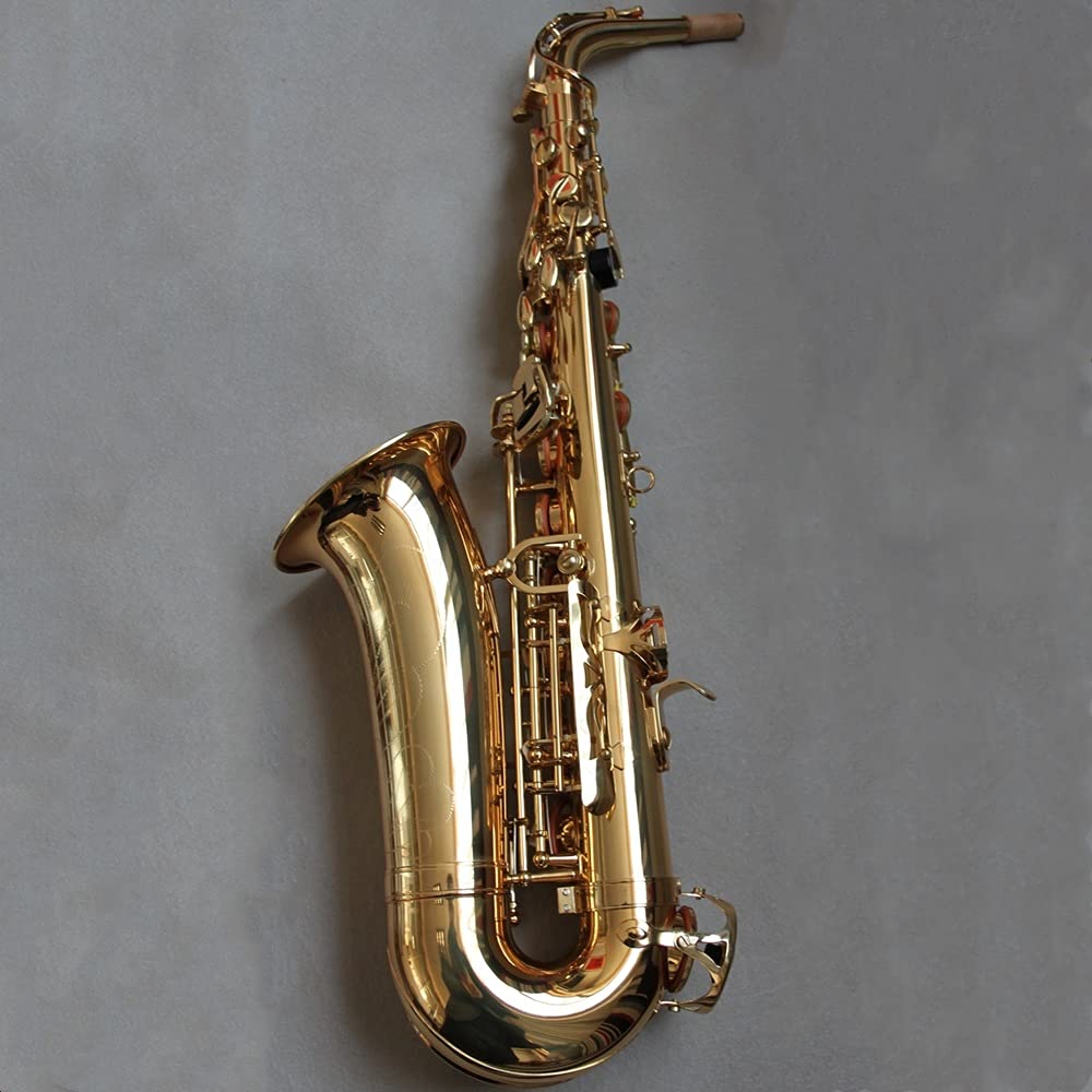 EB Alto Saxophone Set N74696