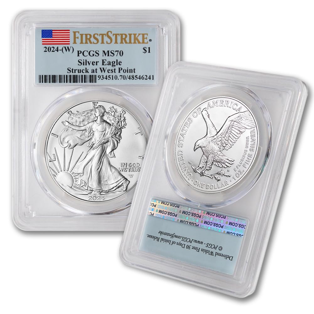 1 oz American Silver Eagle Coin MS-70 E6732
