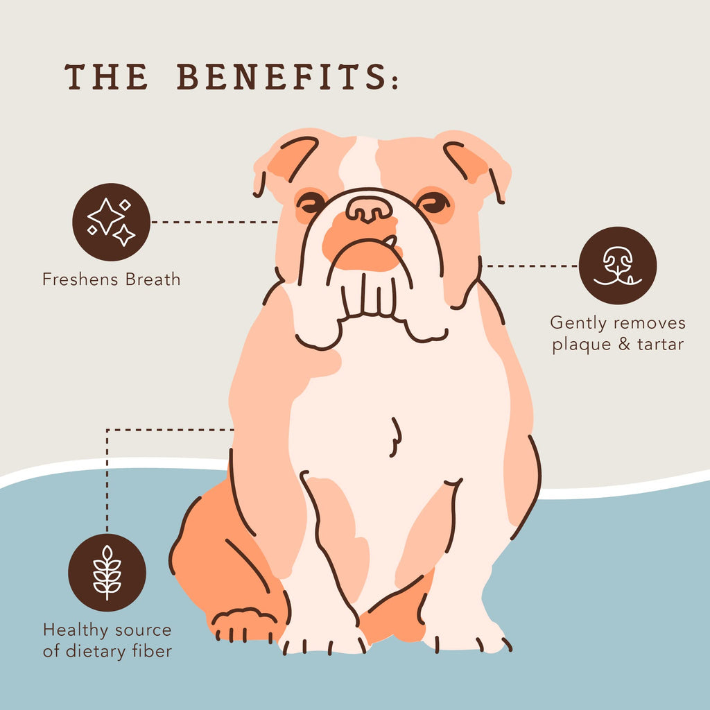 Dental Chews for Dogs 18 Count I2050