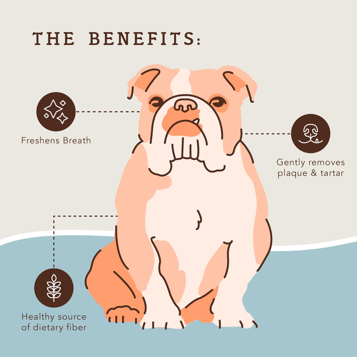 Dental Chews for Dogs 18 Count I2050