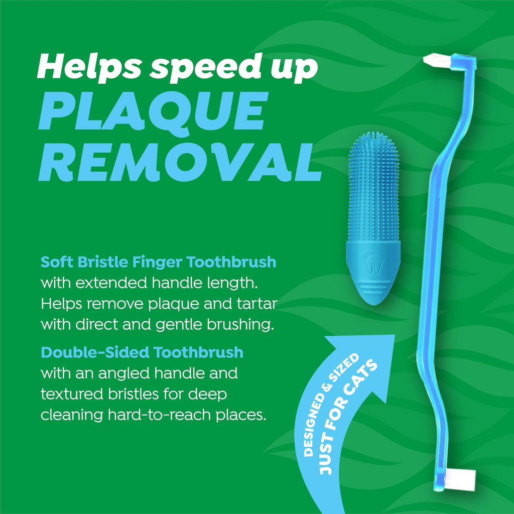 Cat Toothbrush and Toothpaste Kit V985