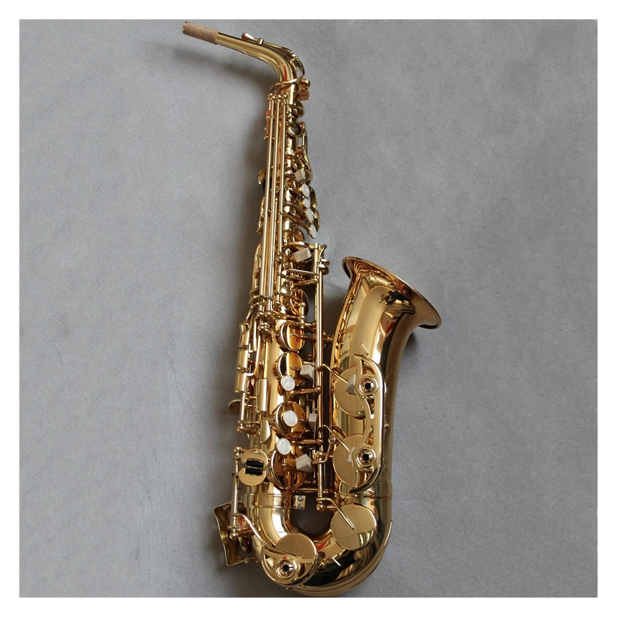 EB Alto Saxophone Set N74696