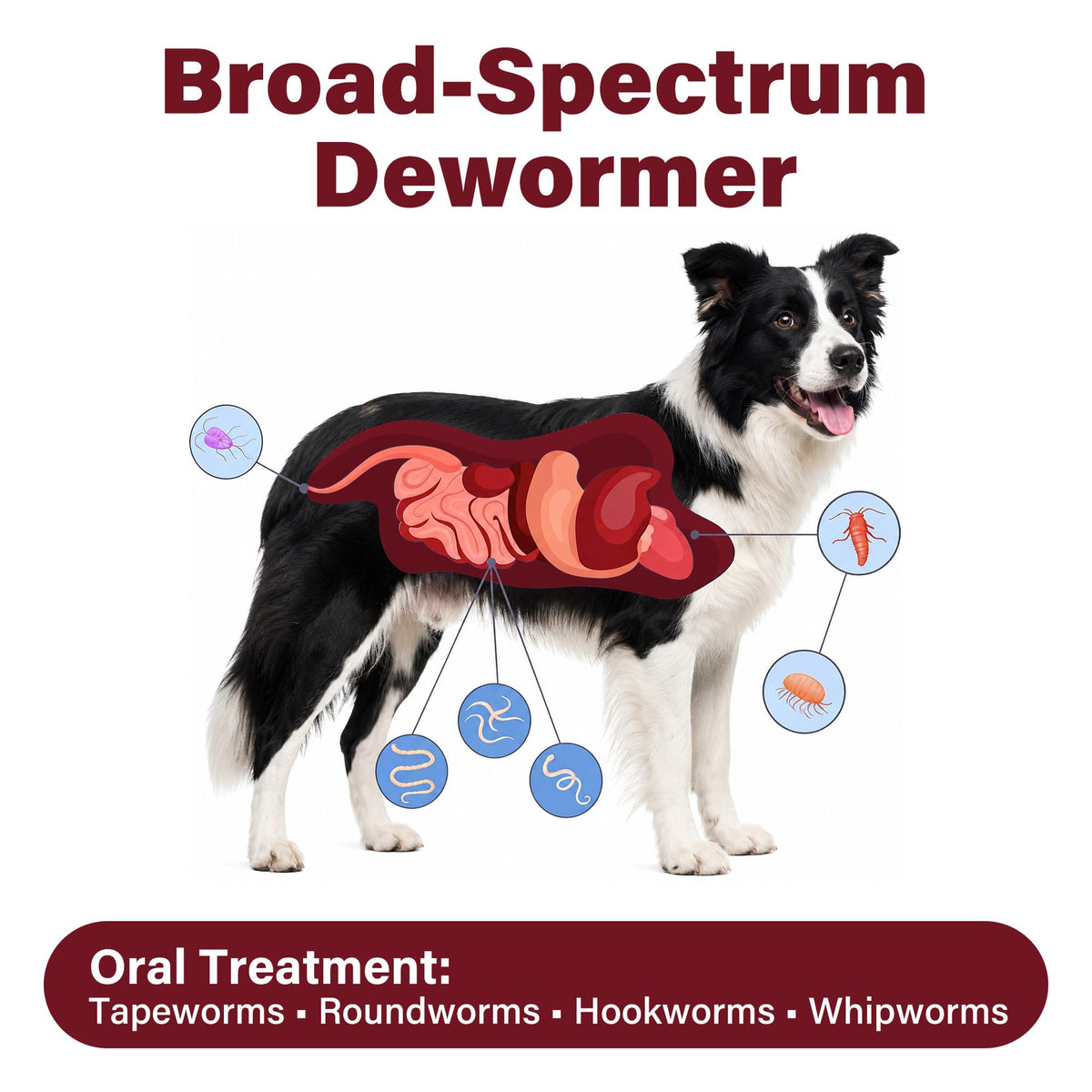 Dog Dewormer 30 Tablets Beef Flavor X17083