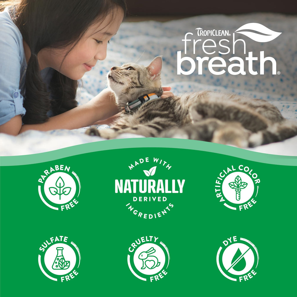 Cat Toothbrush and Toothpaste Kit V985
