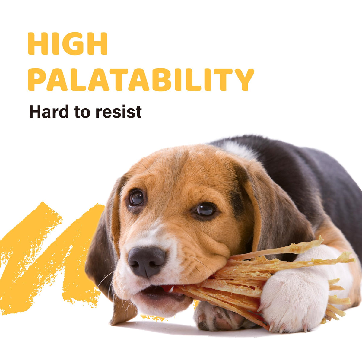 Turkey Tendon Dog Chew Strips M2945