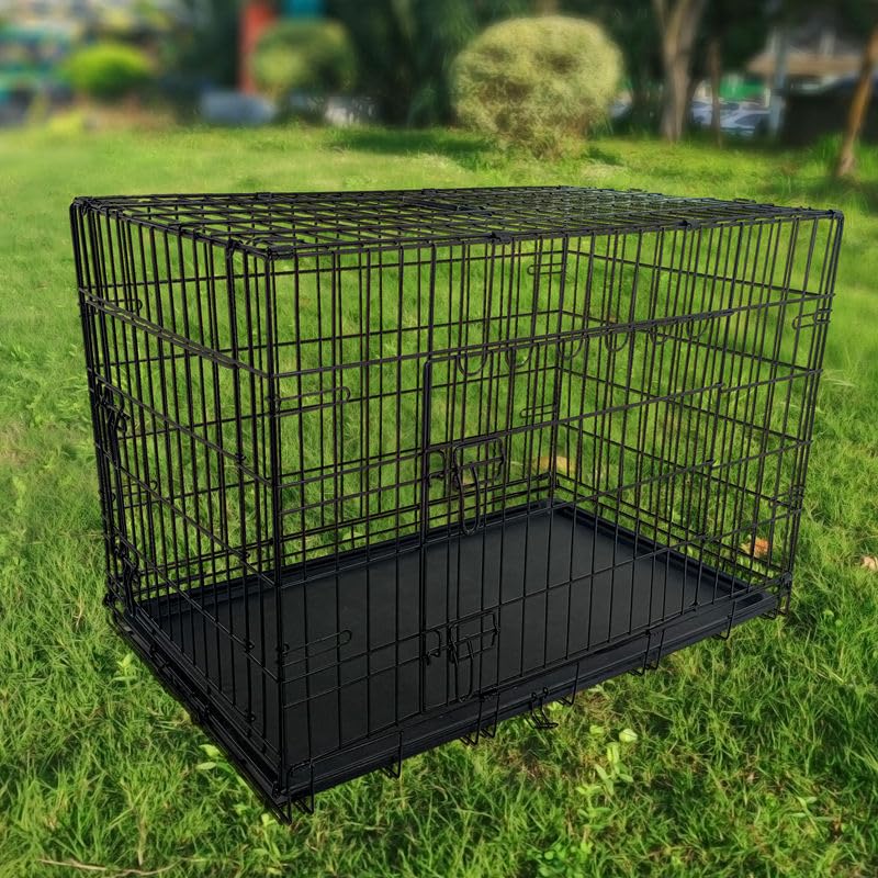 24-Inch Folding Metal Dog Crate with Removable Tray W2928