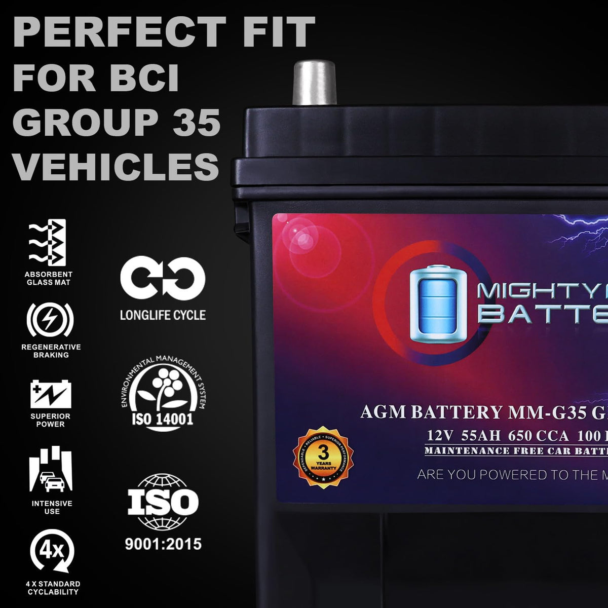 12V 55Ah AGM Replacement Battery D8810