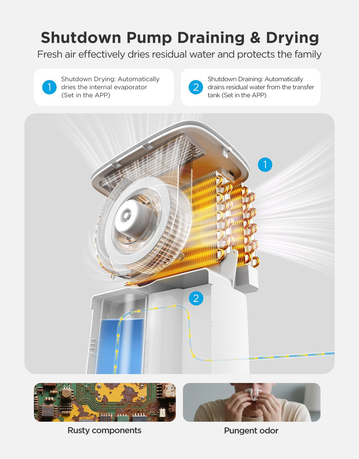 Dehumidifier with Air Quality Monitor D60327