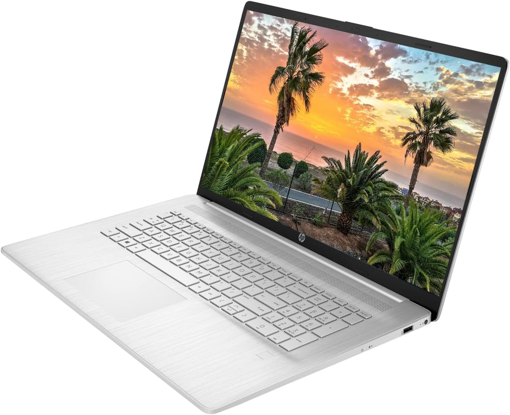 17.3" Touchscreen Laptop, Intel Core i5, 32GB RAM, 1TB SSD, Silver H429218