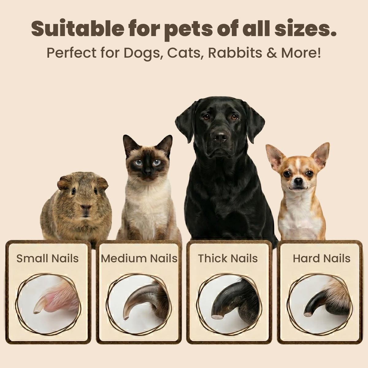 2-in-1 Dog & Cat Nail Clipper and Grinder with Light K3918