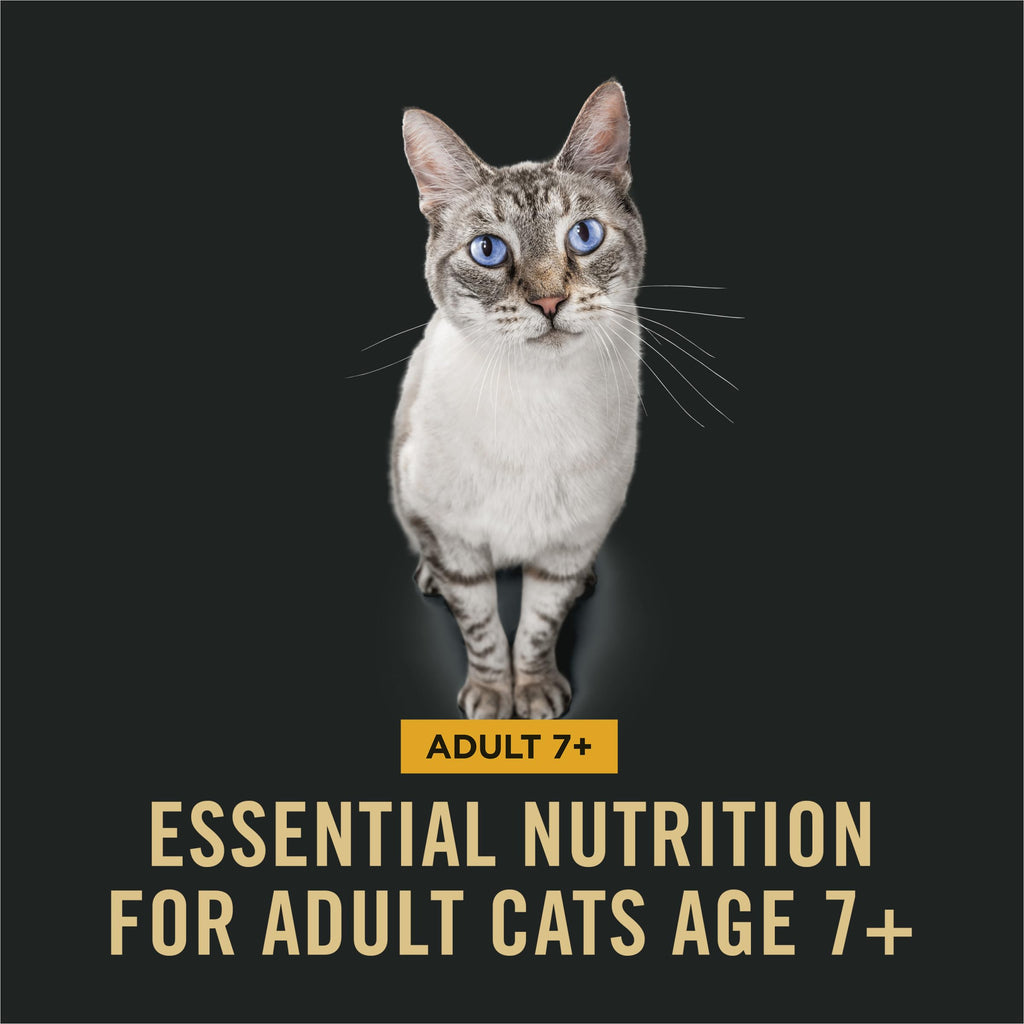 Senior Dry Cat Food, Chicken & Rice, 3.5 lb Bag A859977