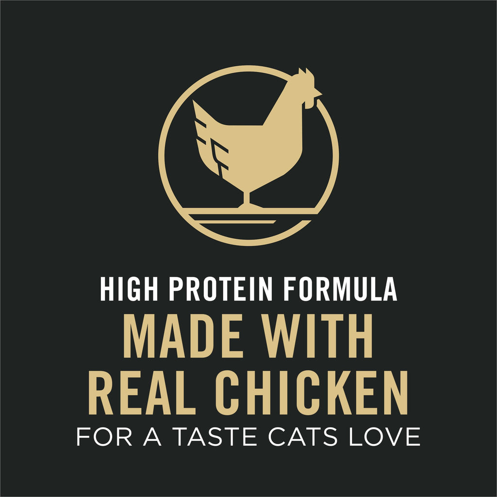 Senior Dry Cat Food, Chicken & Rice, 3.5 lb Bag A859977