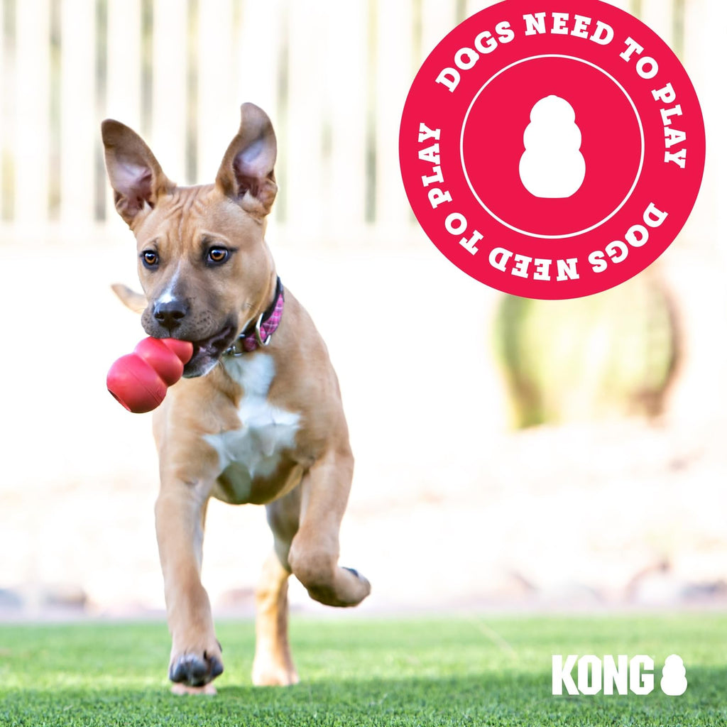 Natural Rubber Teething Chew Toy O1424