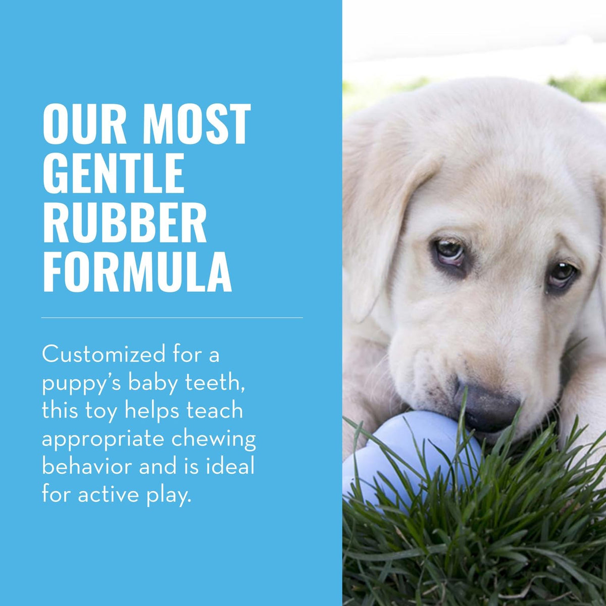 Natural Rubber Teething Chew Toy O1424