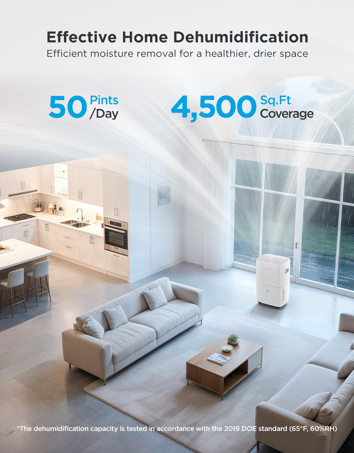 Dehumidifier with Air Quality Monitor D60327