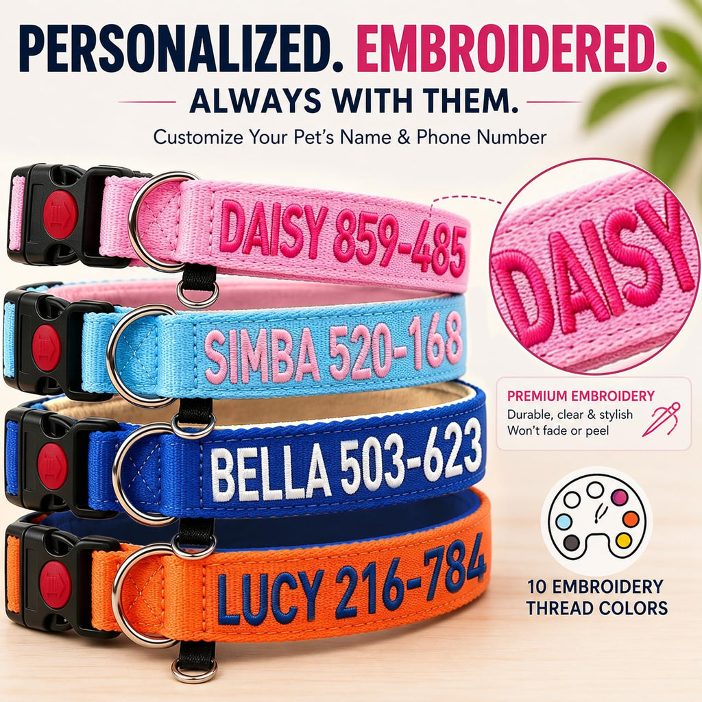 Custom Embroidered Dog Collar with Name and Number O2581