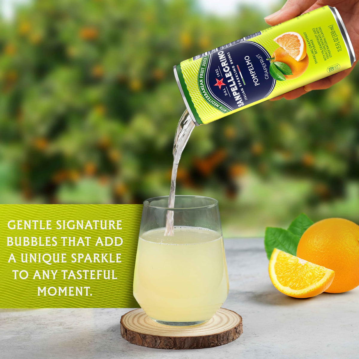 Grapefruit Soda 24 Pack W7966