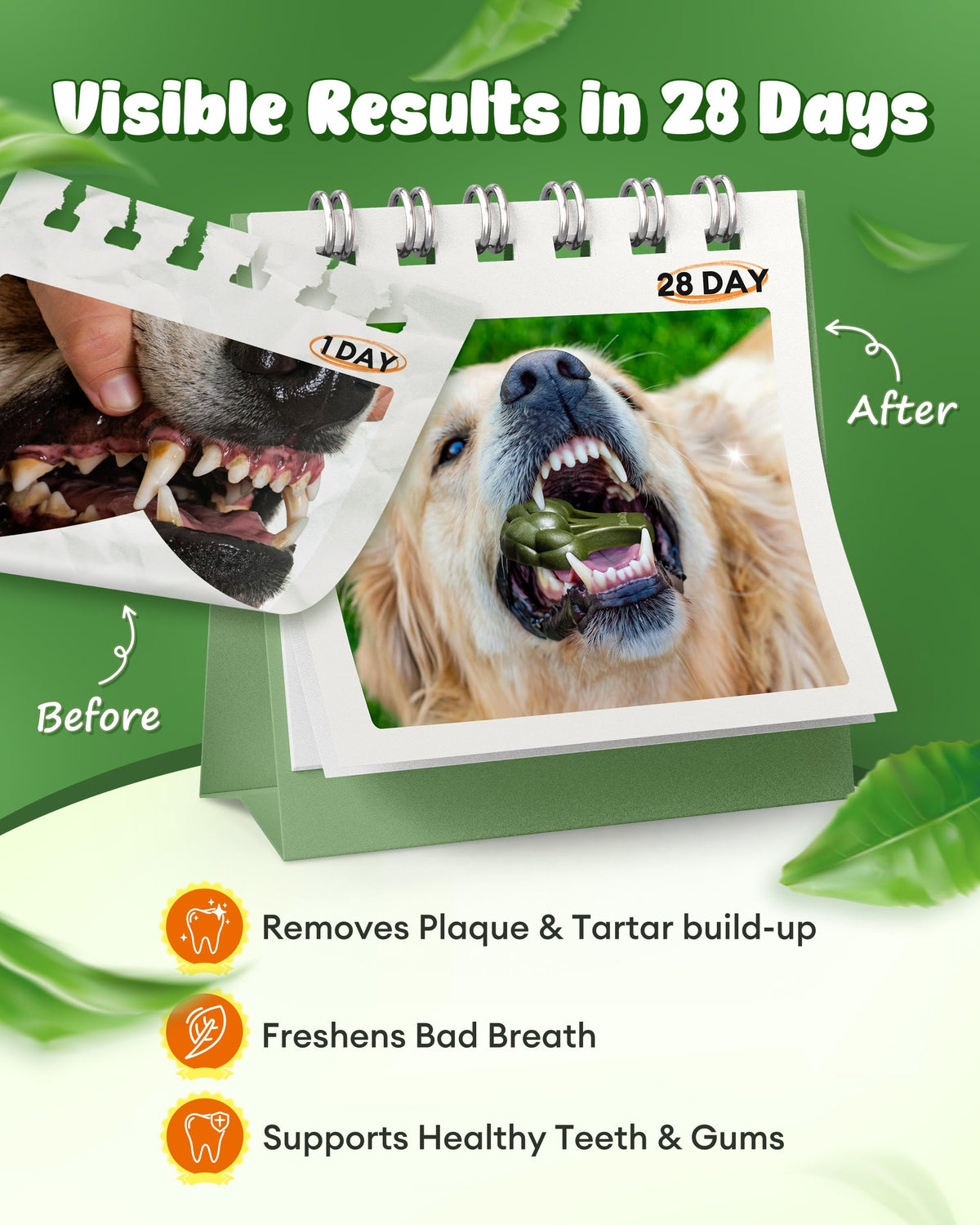 Dog Dental Chews 12oz 10 Count V57824