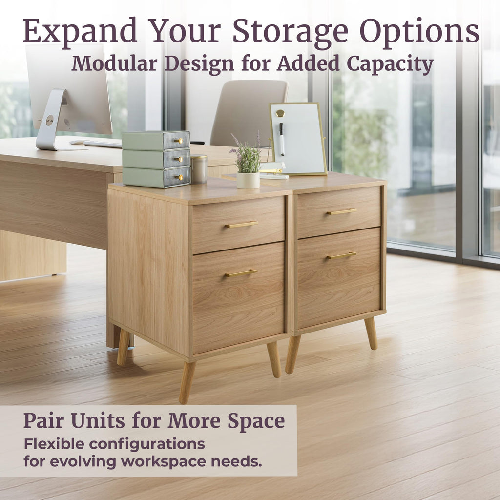 2 Drawer File Cabinet T5652