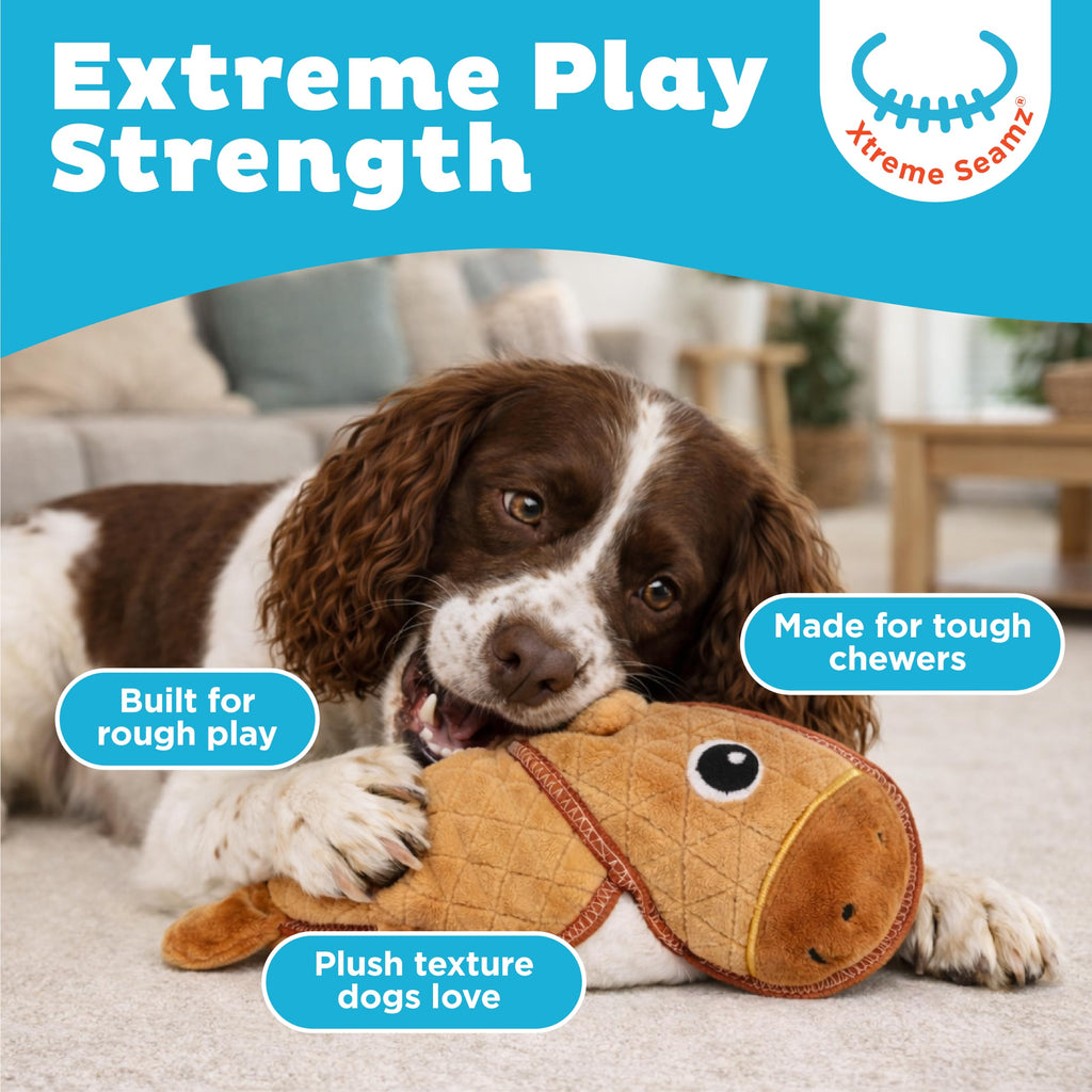 Durable Plush Dog Toy with Squeaker P138998