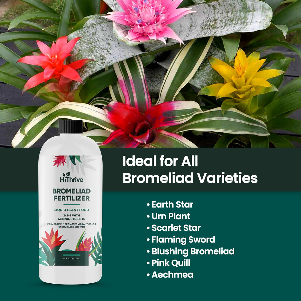 16oz Bromeliad Fertilizer P725289