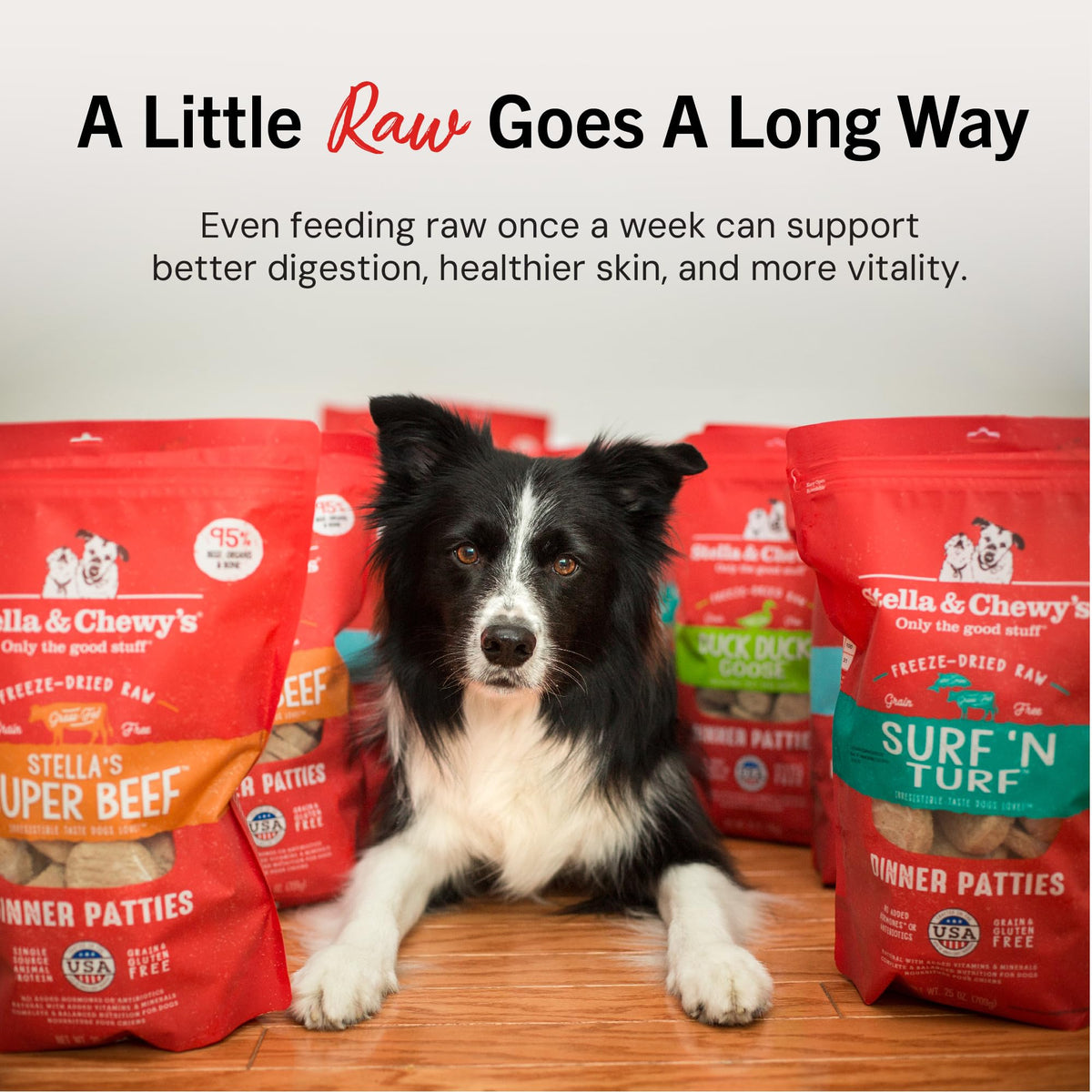 Freeze-Dried Raw Beef Grain-Free Dog Food 25 oz J388