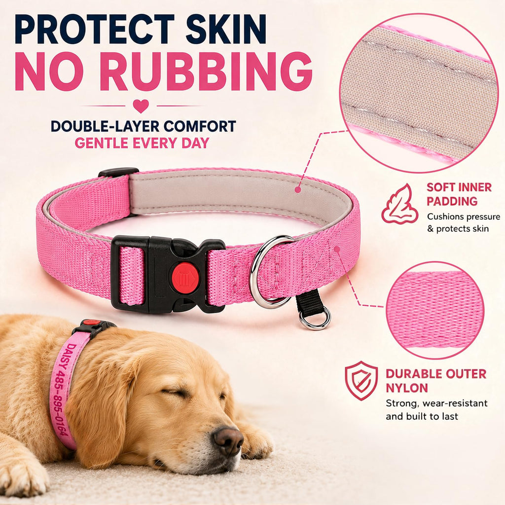 Custom Embroidered Dog Collar with Name and Number O2581