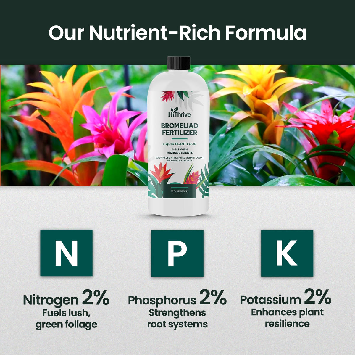 16oz Bromeliad Fertilizer P725289