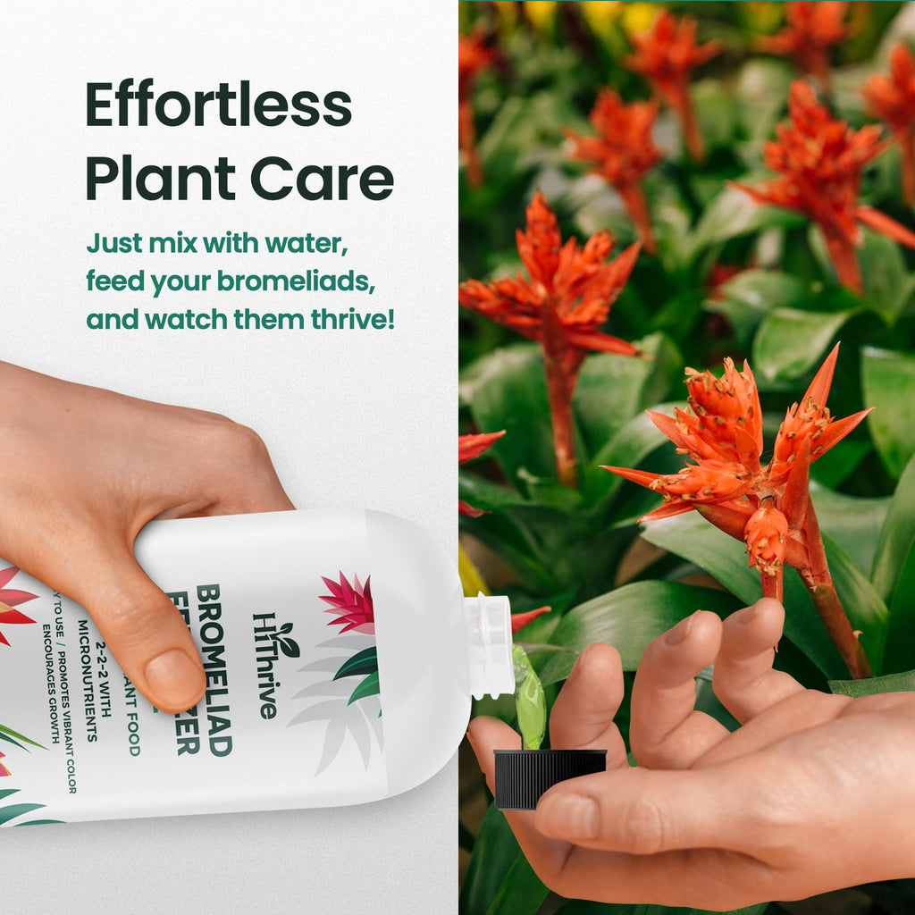 16oz Bromeliad Fertilizer P725289