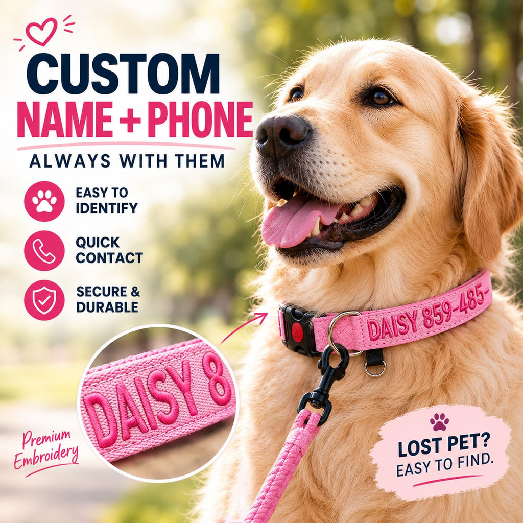 Custom Embroidered Dog Collar with Name and Number O2581
