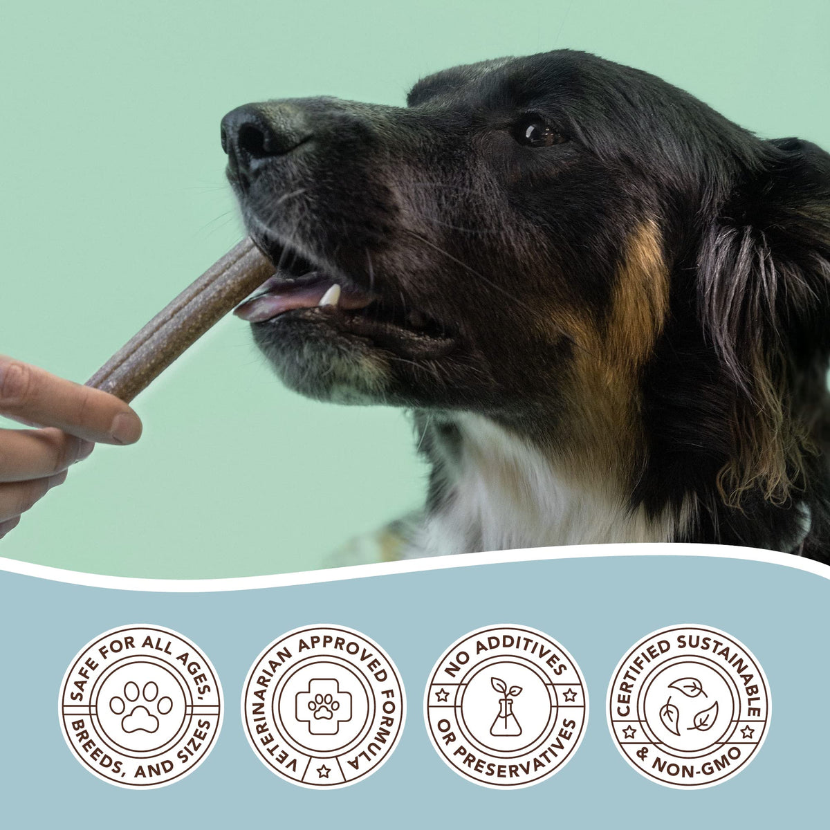 Dental Chews for Dogs 18 Count I2050