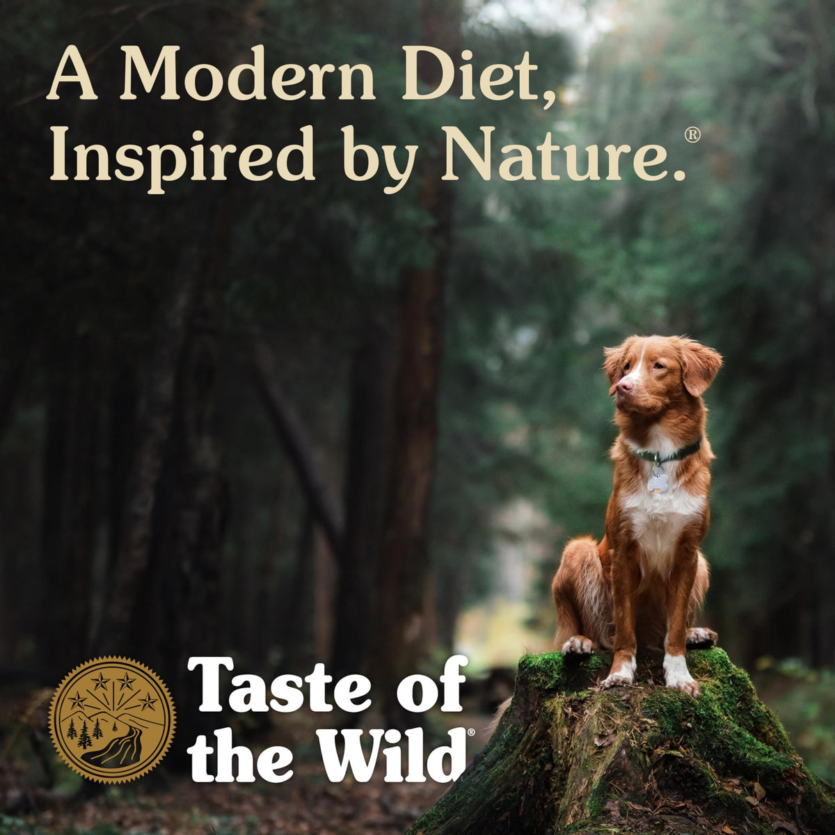 High Prairie Adult Dry Dog Food Roasted Bison 28lb R8727