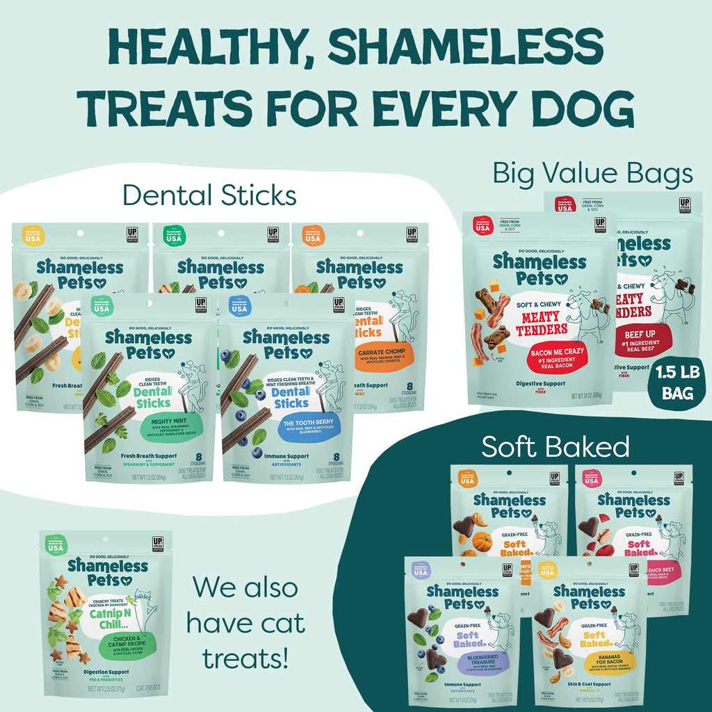 Soft Dog Treats 8oz I19575