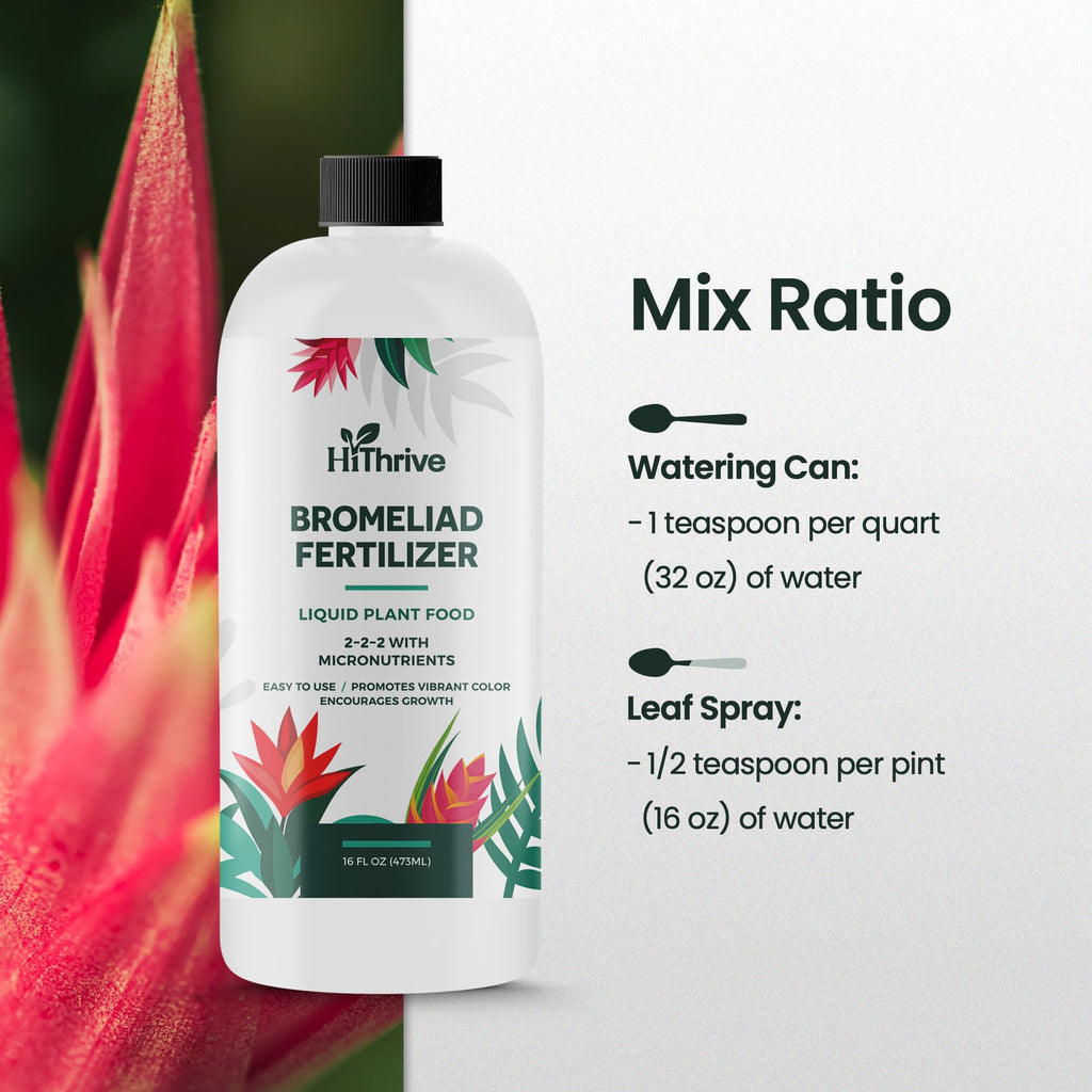 16oz Bromeliad Fertilizer P725289