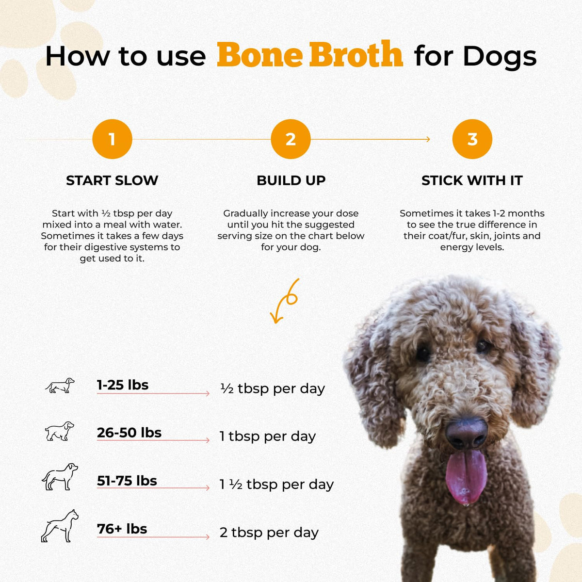 Chicken Bone Broth Powder N190802