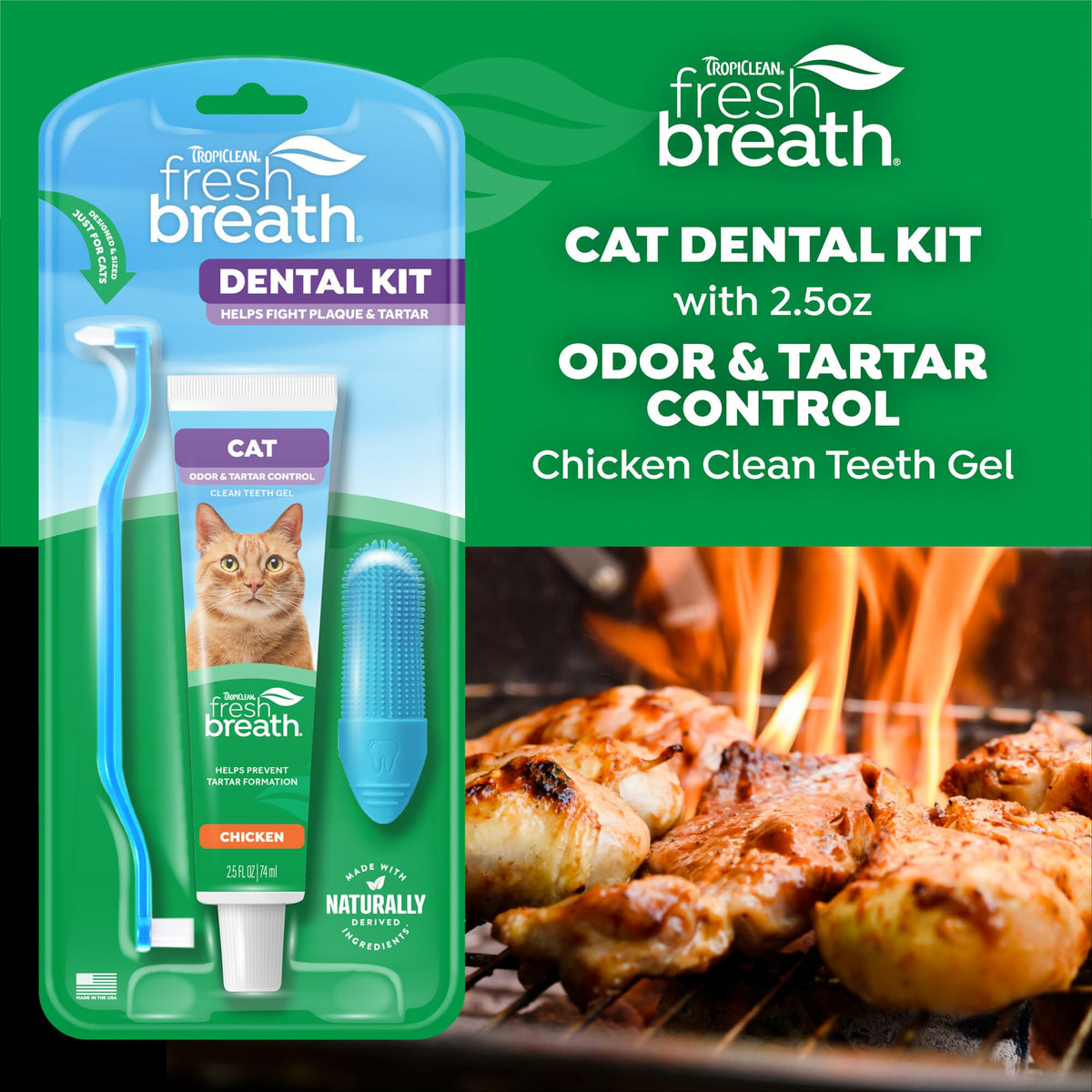 Cat Toothbrush and Toothpaste Kit V985